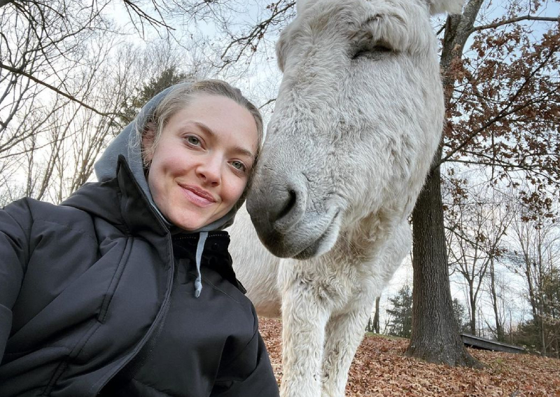 Amanda Seyfried and family sleep in barn after huge ice storm cut power